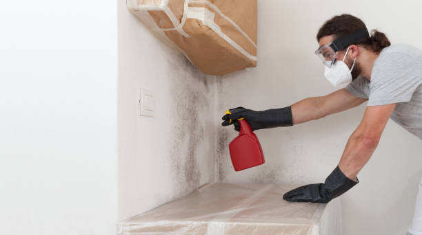 Professional Mold Inspection And Testing technician working in Falcon, NC